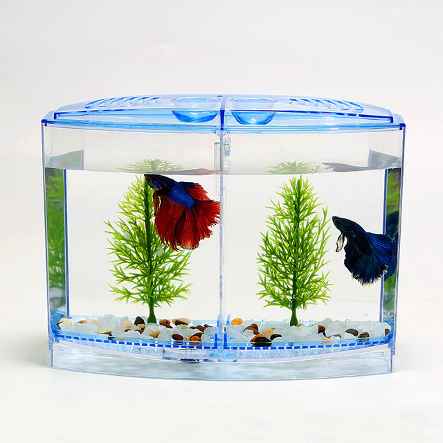 new-acrylic-aquarium-betta-b-n-mini-l-ng-p-b-c-cho-c-b-t-jpg_640x640