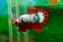 13256454_574969629350173_4654514645983817396_n 13256454_574969629350173_4654514645983817396_n