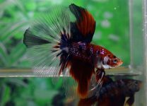 4aa70a6d198bb52bdefae271eef48759 4aa70a6d198bb52bdefae271eef48759