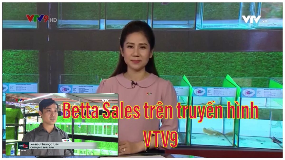 BettaSales trên kênh VTV9