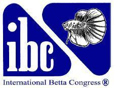 IBC LÀ GÌ ? SƠ LƯỢC VỀ TỔ CHỨC BETTA LỚN NHẤT THẾ GIỚI . (International Betta Congress
