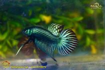 198393866_1872416092938847_7075256370417613576_n 198393866_1872416092938847_7075256370417613576_n